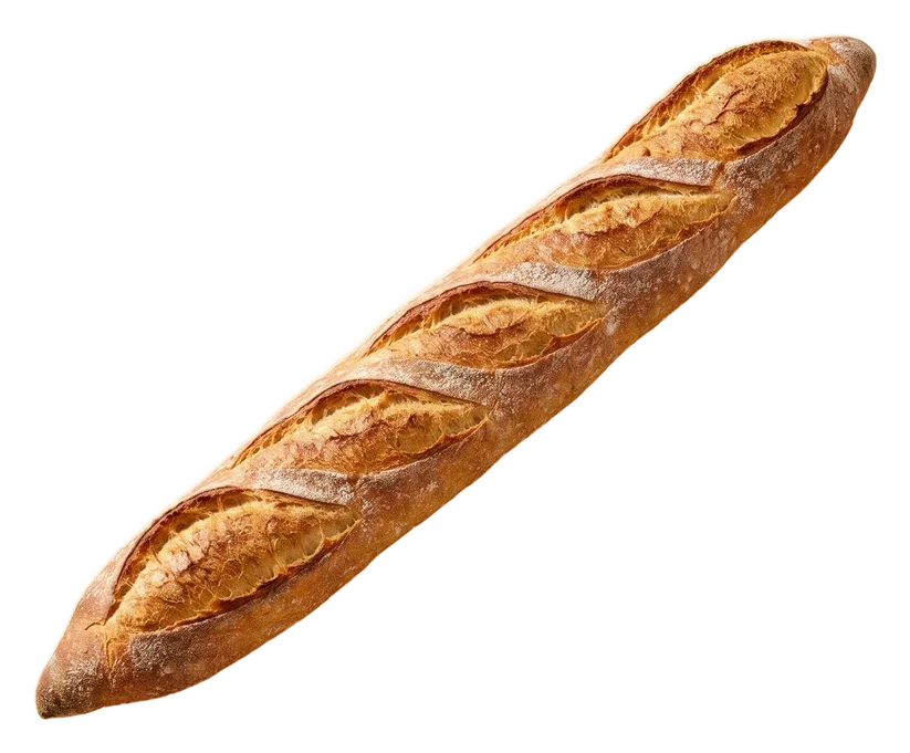 A long baguette with five open scores
