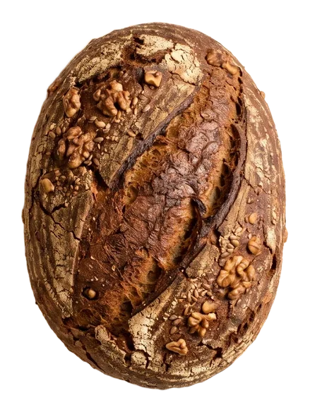 A dark rye loaf with walnuts pressed into the crust